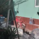 Polemik Pembangunan Jalan di Perumahan Salsa Beji, Menuai Pertanyaan