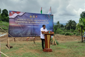 Wali Kota Ambon Dorong Kerja Sama Penuhi Kebutuhan Cabai Lewat GNPIP