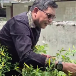 Panen Cabai di Halaman Rumah, Wali Kota Ambon Beri Contoh Hadapi Inflasi